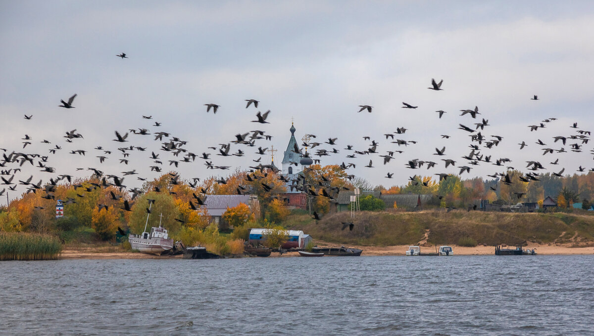 **** - Елизавета .