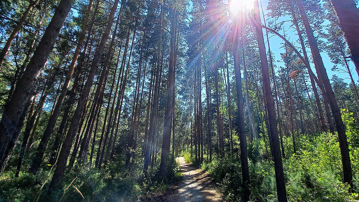 О счастье мы всегда лишь вспоминаем. А счастье всюду. Может быть - Hope 
