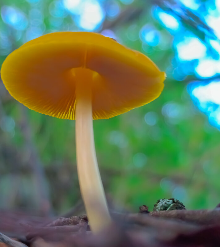 - - Татьяна Венцель