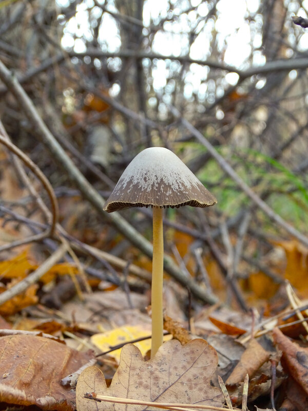 - - Татьяна Венцель