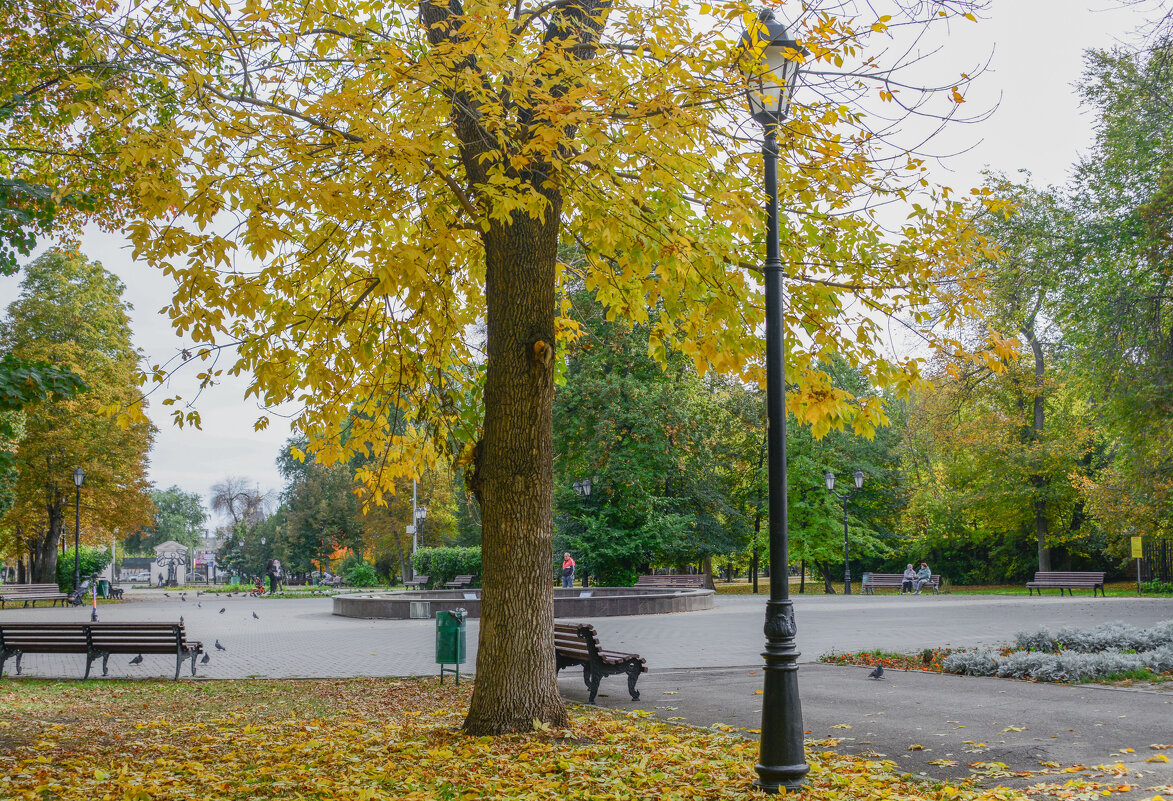 Осень в парке.. - Евгений 