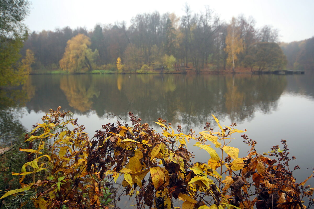 Царицыно 22 октября - Михаил Бибичков