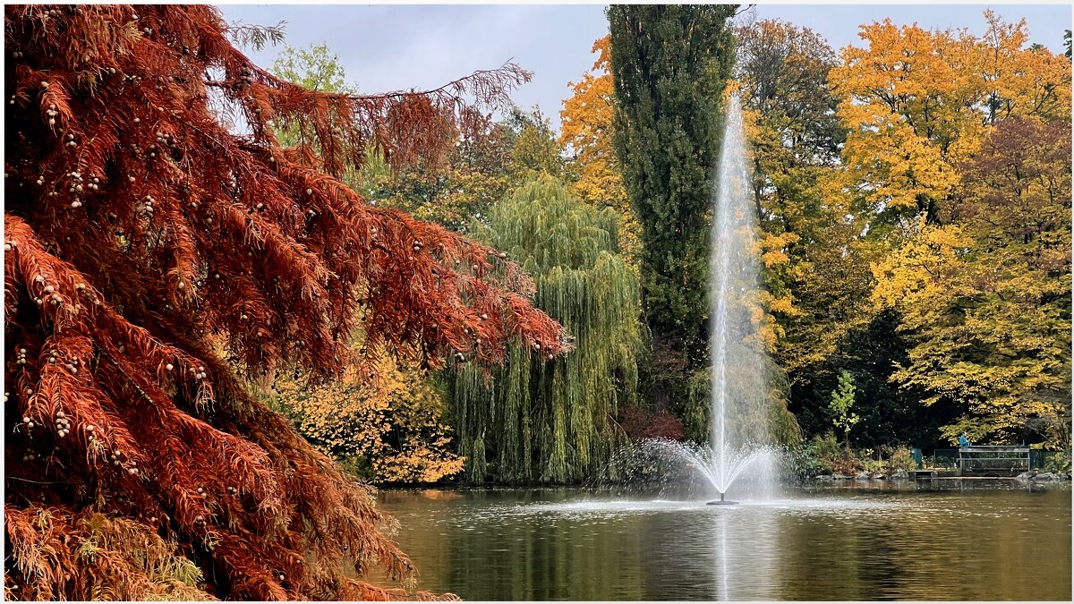 У деревьев с лица Облетает улыбка. - "The Natural World" Александер