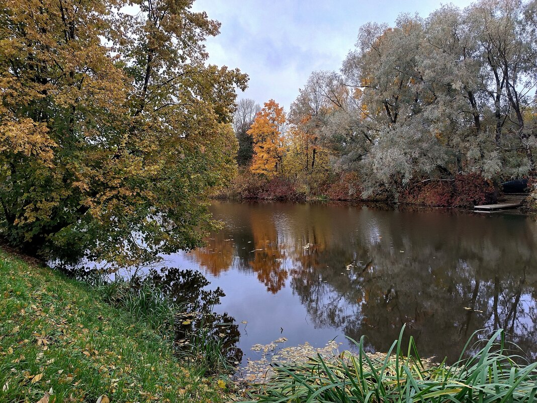 У реки в октябре - Мария Васильева У реки в октябре - Мария Васильева
