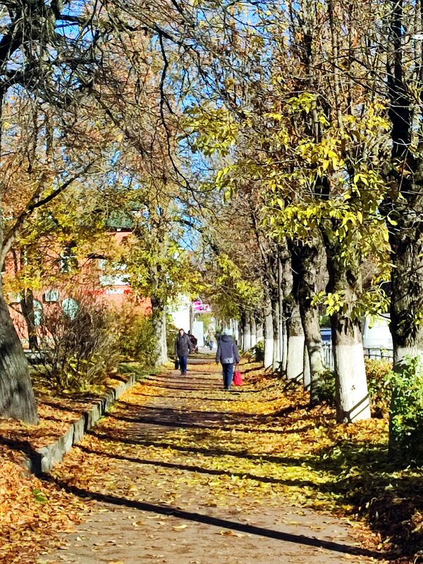 Осенняя аллея - Ирина 