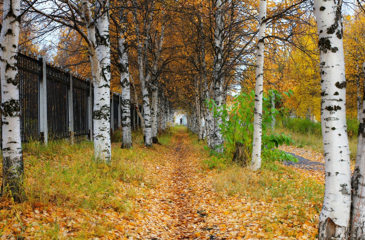 Осень. - Александр 