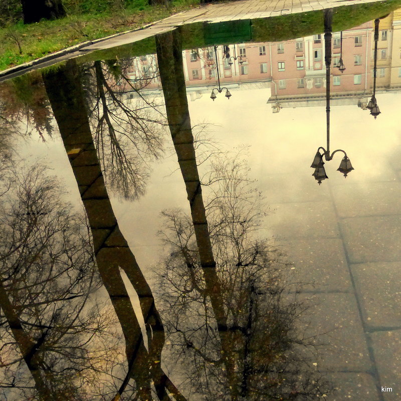 Пасмурный день. - Игорь 