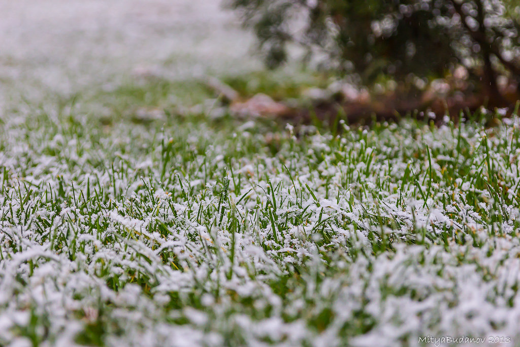 snow&amp;green dance - Дмитрий Буданов