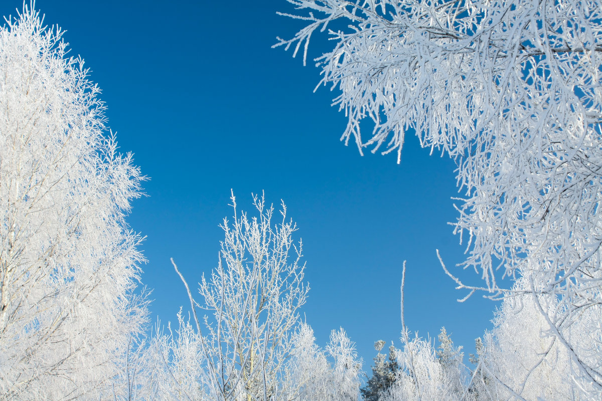 Мороз - Юрий Груздев