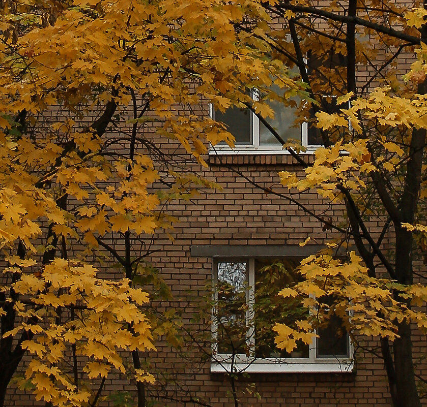 Осень смотрится в зеркала окон... - Александр Лебедевъ