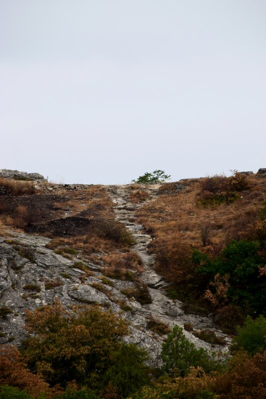Пятигорск. Вид на гору Горячая из Эммануэлевского парка - Павленко Михаил 