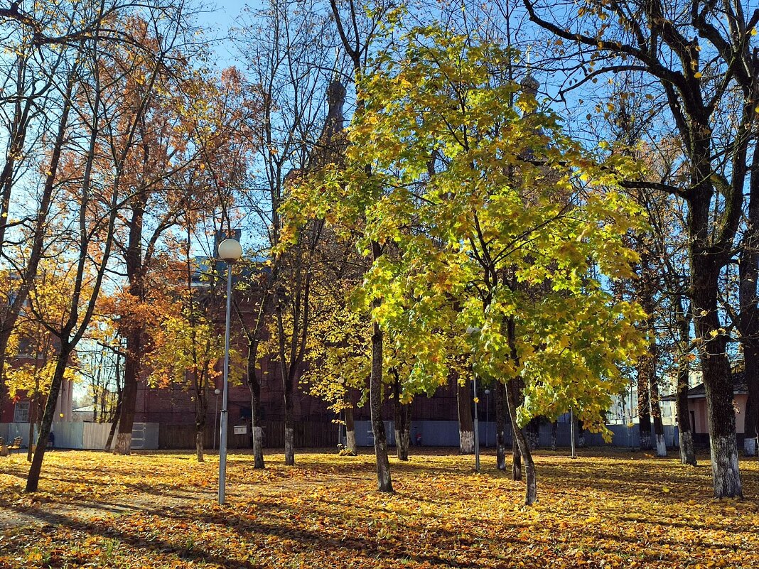 Осенним днем - Ирина 