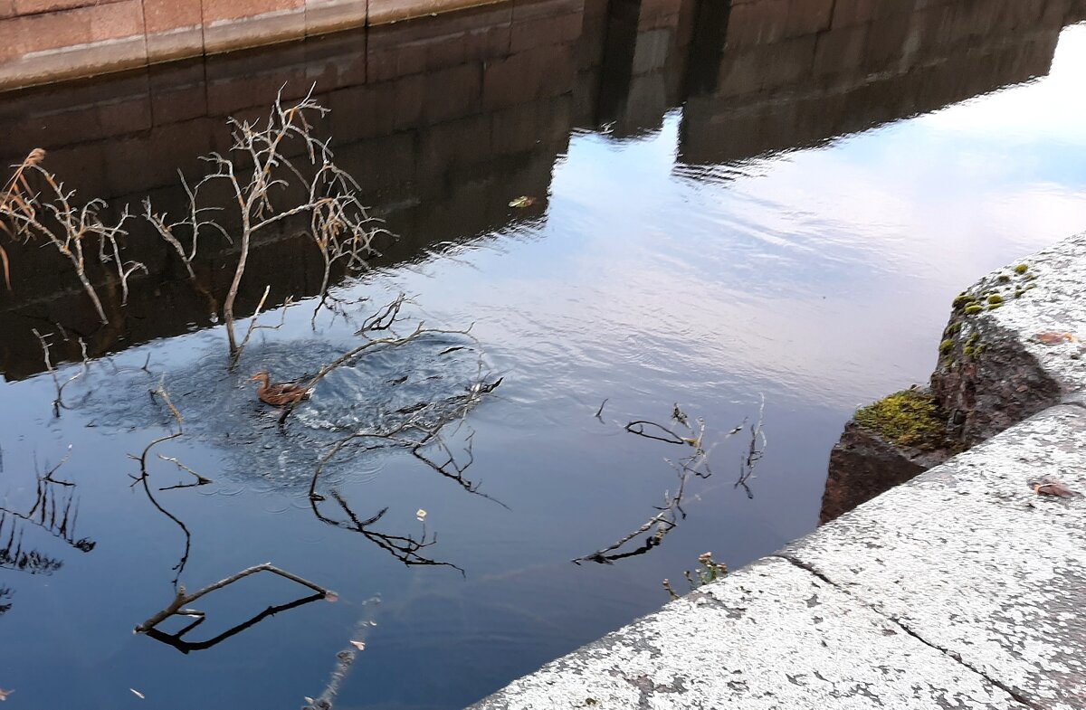 Шлиссельбург - Наталья Герасимова