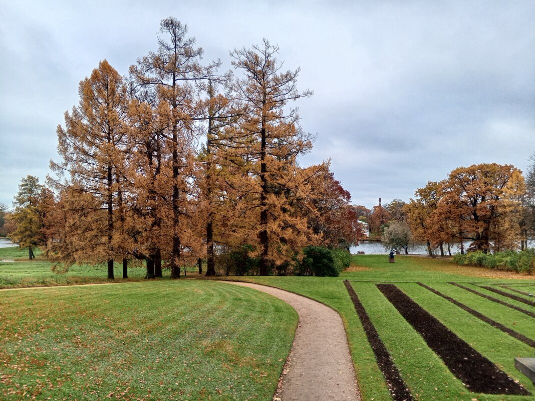 Осень - Сапсан 