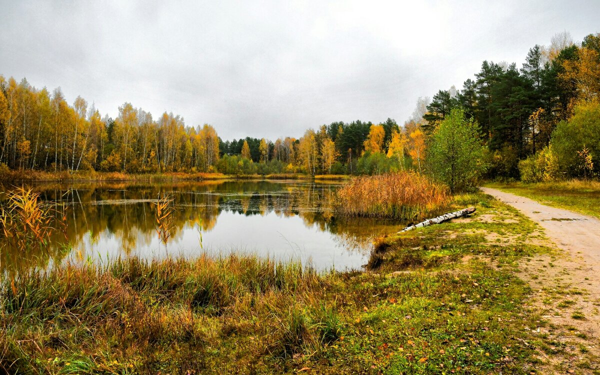 Осенняя пора (репортаж из поездок по области). - Милешкин Владимир Алексеевич 