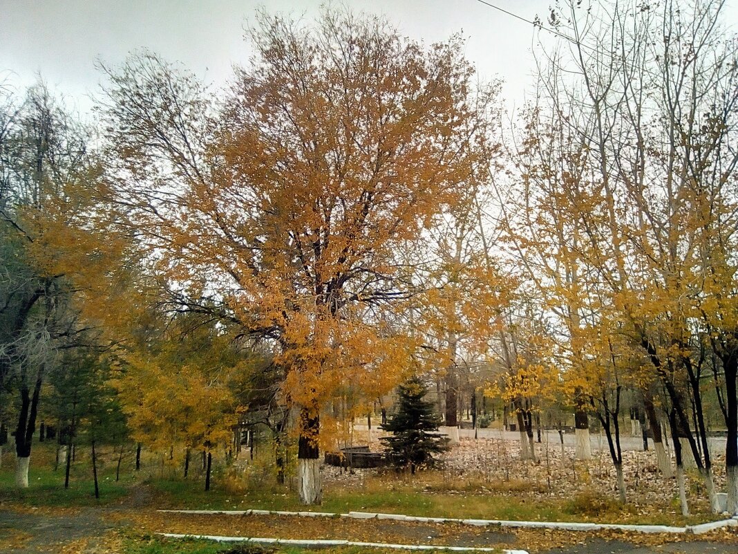 Золотое время - Георгиевич 