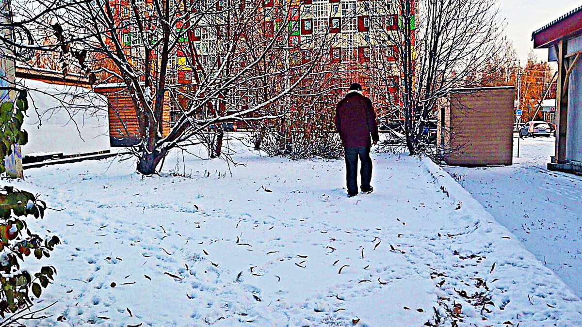 Октябрь в любимом сквере! - Владимир 