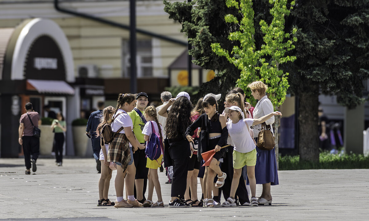 Организованный поход - Игорь Сикорский