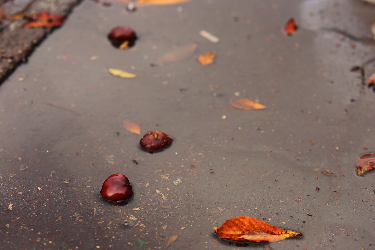 Плавают... - Юрий Гайворонскiий