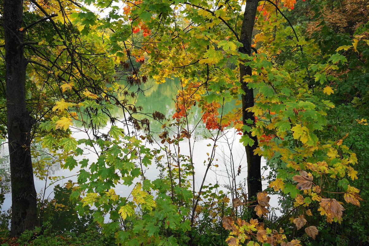 Октябрь - Рита Симонова