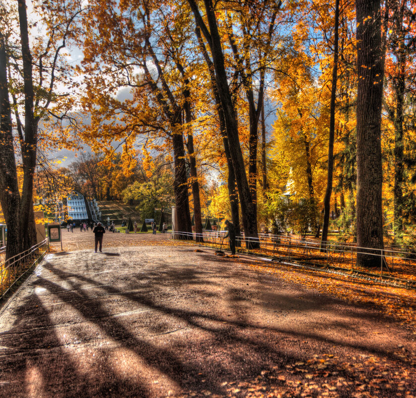 *** - Сергей Григорьев