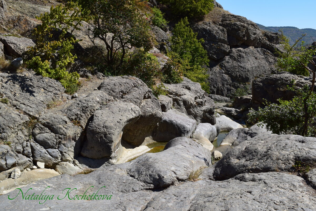 Природа Крыма - Amazing Cosmea