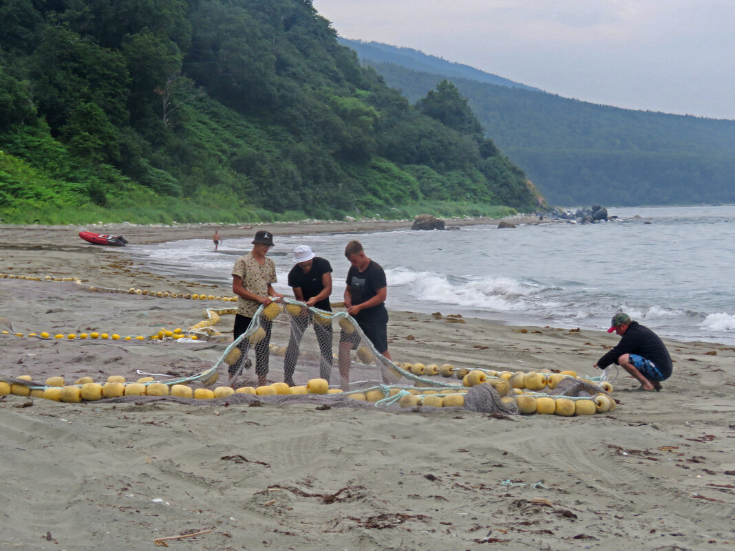 Подготовка сетей - ИРЭН@ .