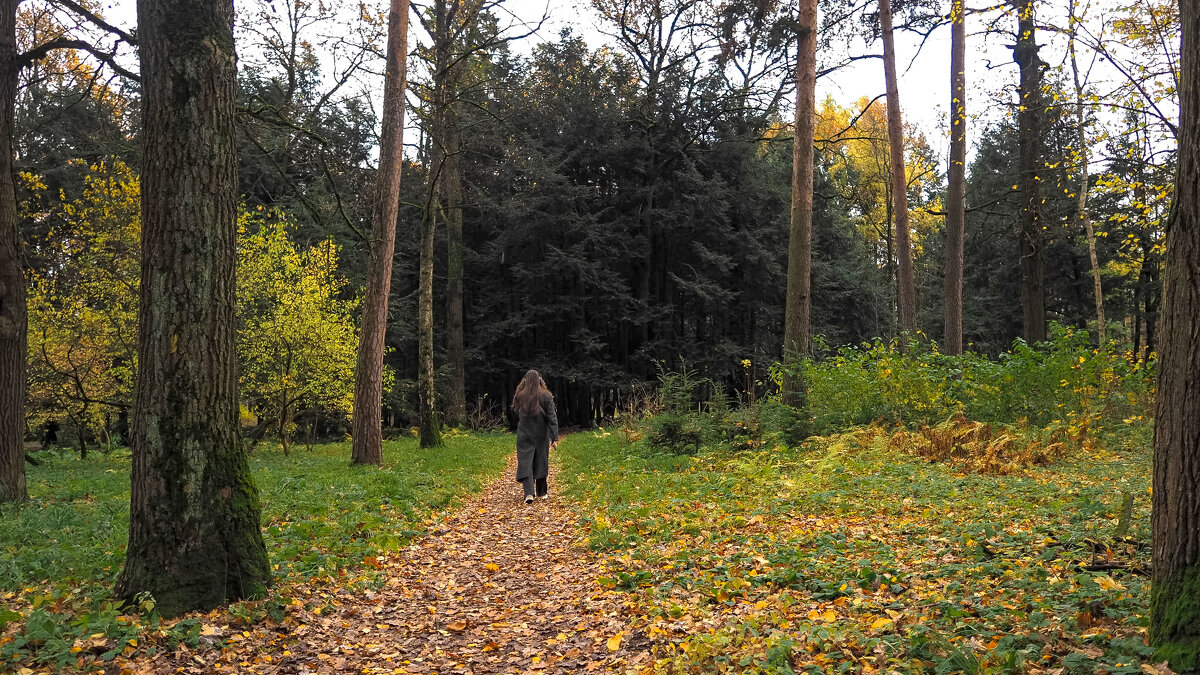 ***** - юрий поляков