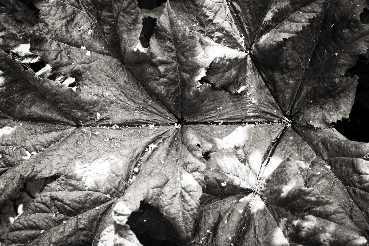 Фотография - Денис Безногов