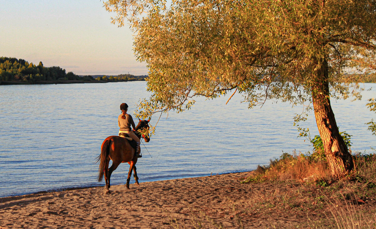 на Волге - Владимир Зеленцов