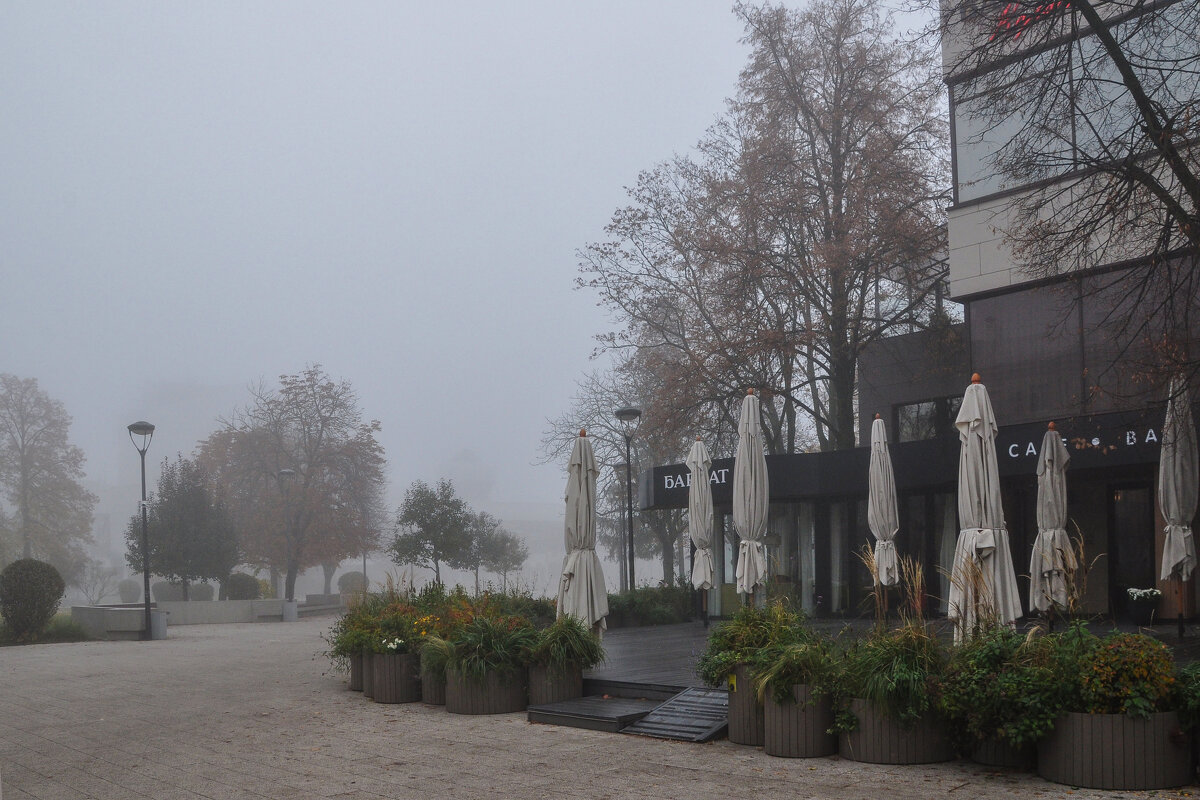 Седая пелена опустилась на город - Татьяна Машошина Седая пелена опустилась на город - Татьяна Машошина