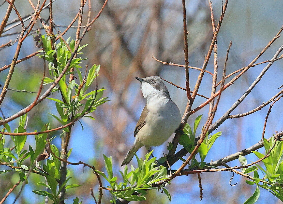 И замерла... - Владилен Панченко