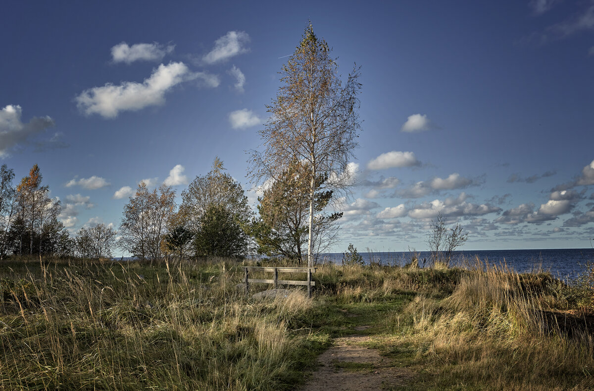 Tallinn, Fotograaf Arkadi Baranov, FEP, Estonia - Аркадий  Баранов Arkadi Baranov