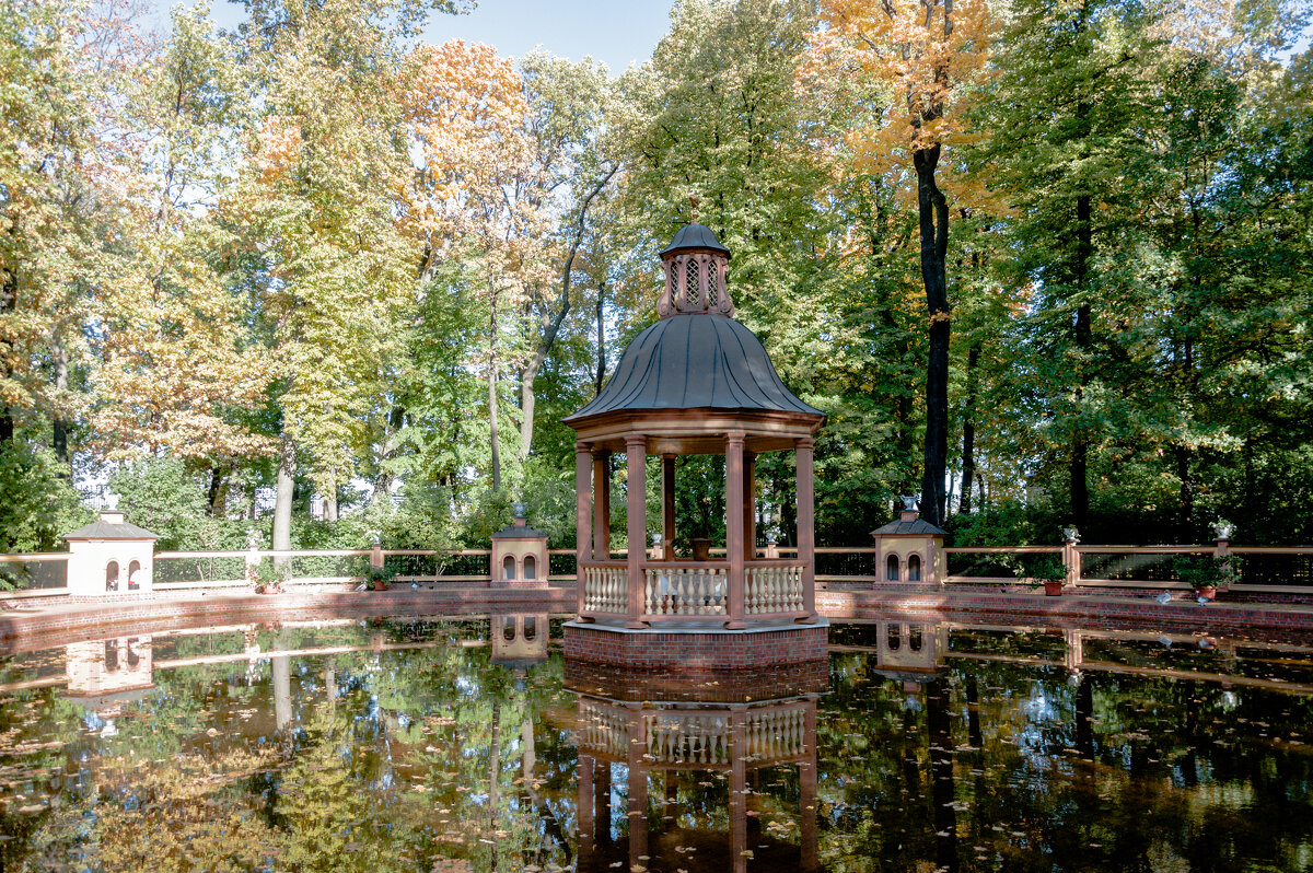 *** - Светлана . *** - Светлана .