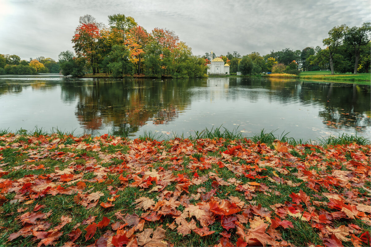 Про Питер - Владимир Колесников