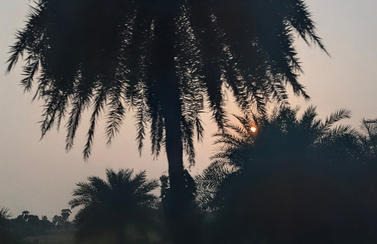 Перевернутый мир - liudmila drake Перевернутый мир - liudmila drake