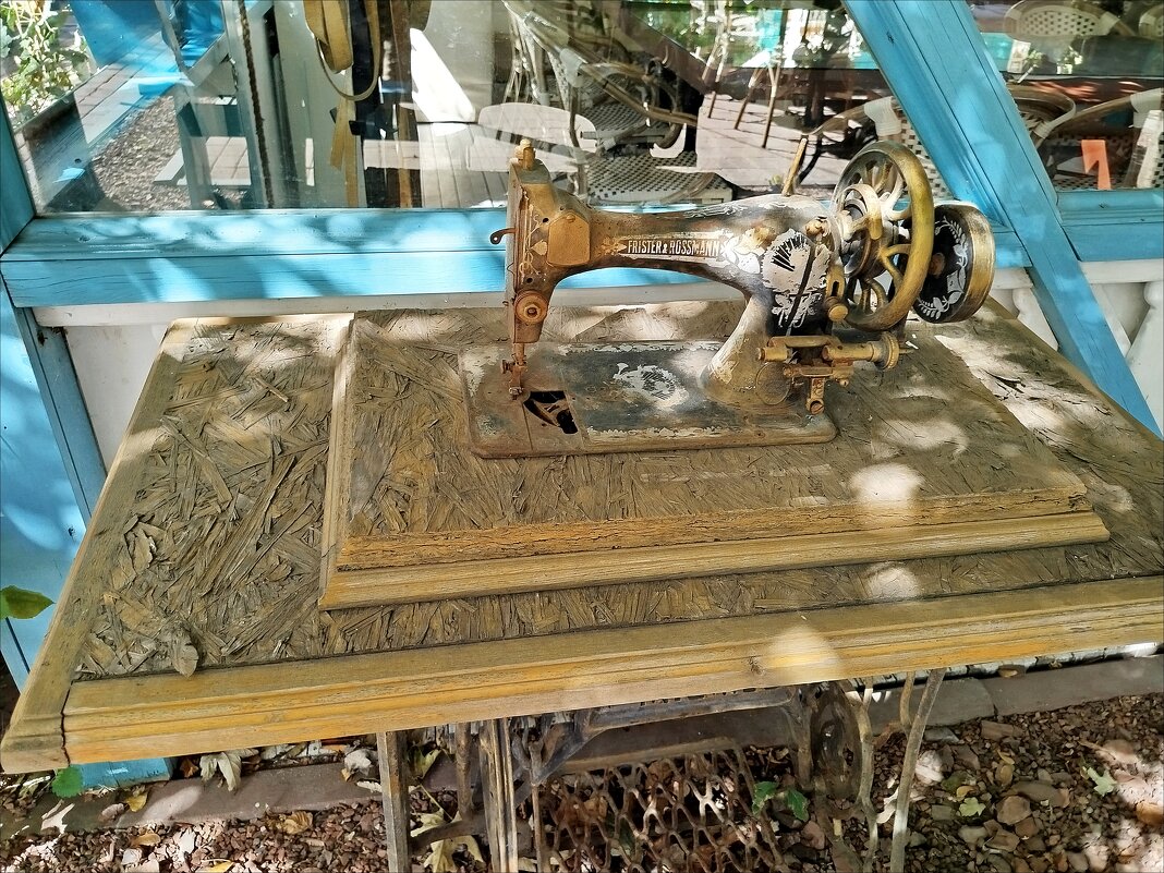 Вот это находка! - Надежда Вот это находка! - Надежда