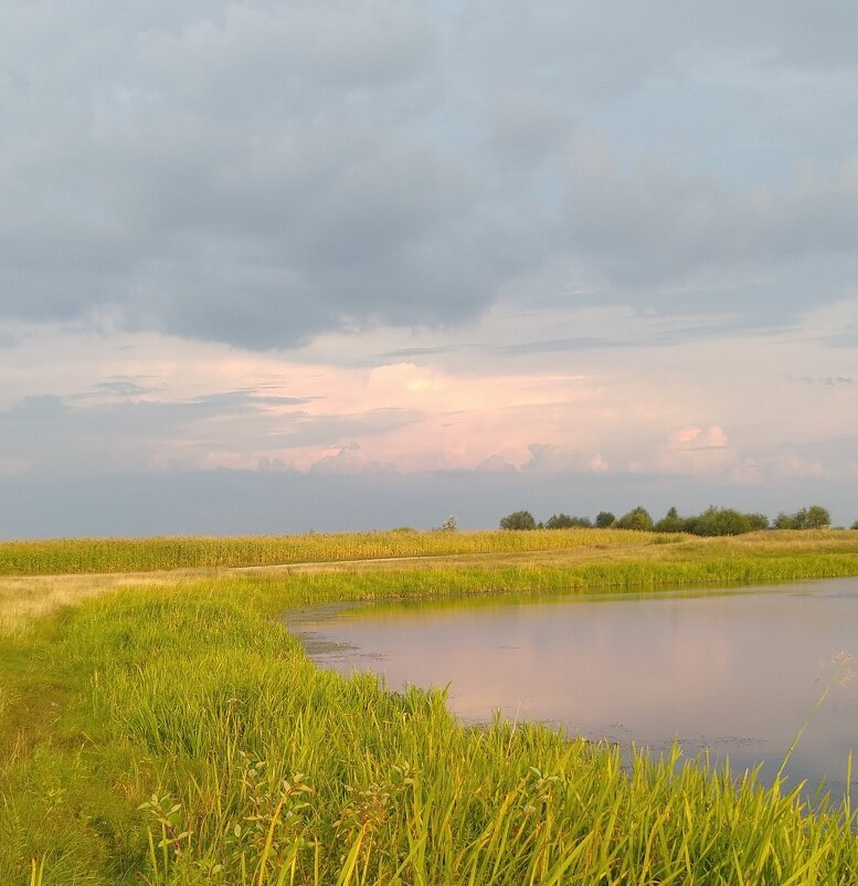 Вечер в августе. - Сергей Рожков