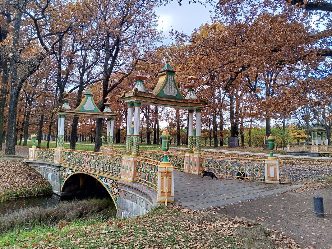 Китайский мостик - Сапсан 