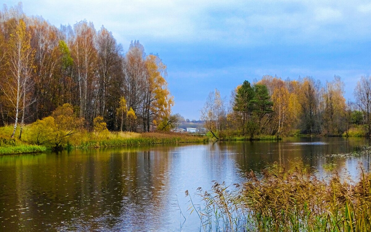 Осенний пейзаж с озером. - Милешкин Владимир Алексеевич 