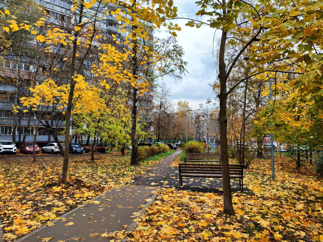 100%-ый октябрь в городе - Андрей Лукьянов