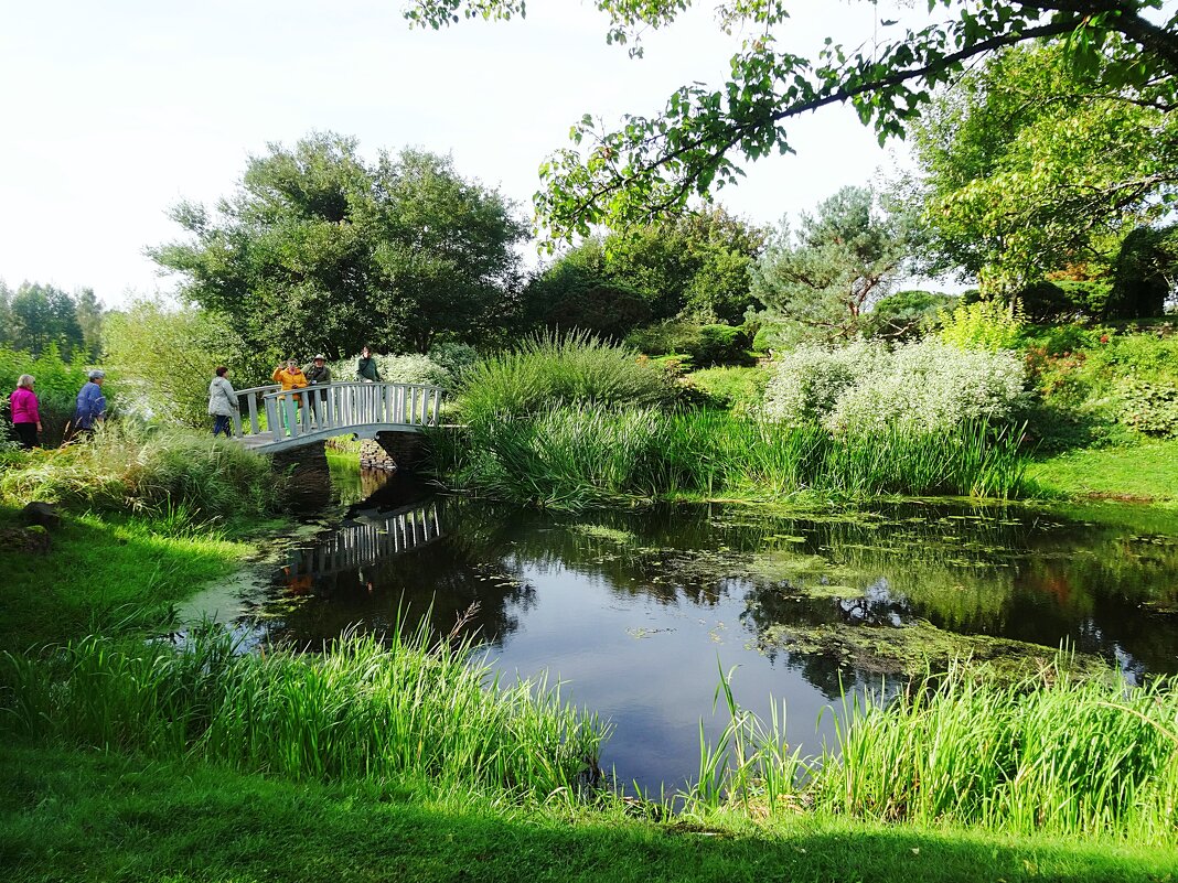 Усадьба Ореховно - Лидия Бусурина Усадьба Ореховно - Лидия Бусурина