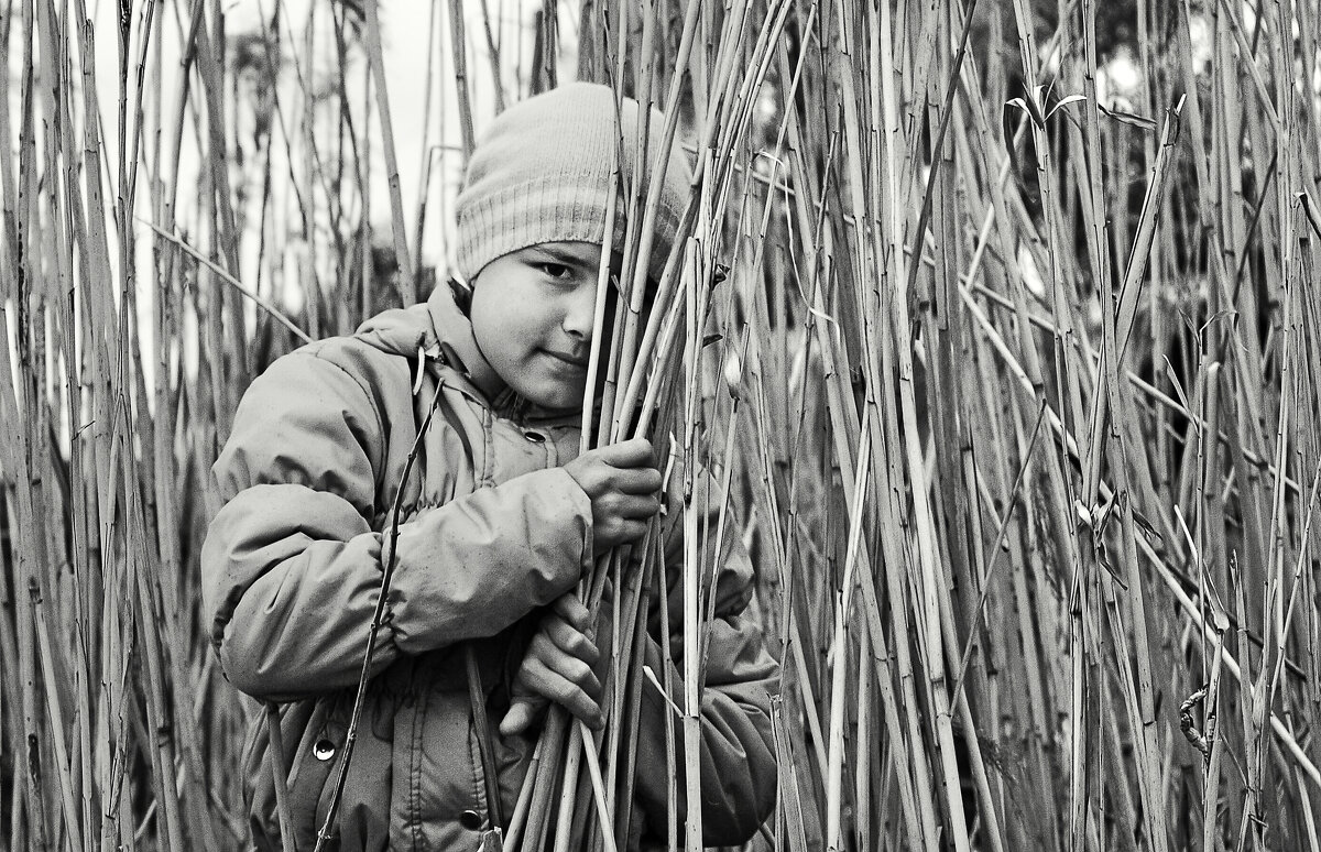 В зарослях - СЮ 