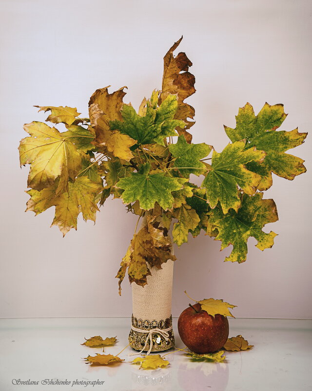 ... - Светлана Ищенко