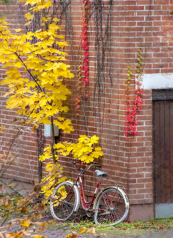 Отслужил... - Bosanat 