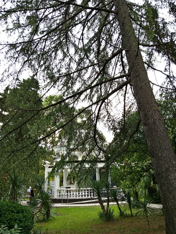 ПРИМОРСКИЙ СКВЕР - Tata Wolf