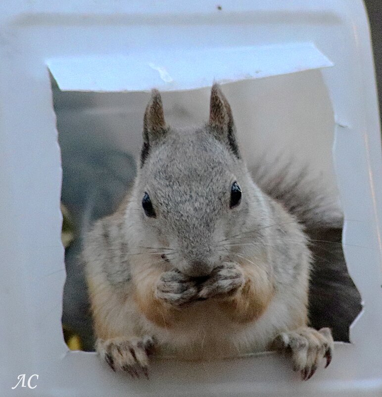 Снимаю пробу,того чем угостили. - Любовь Сахарова
