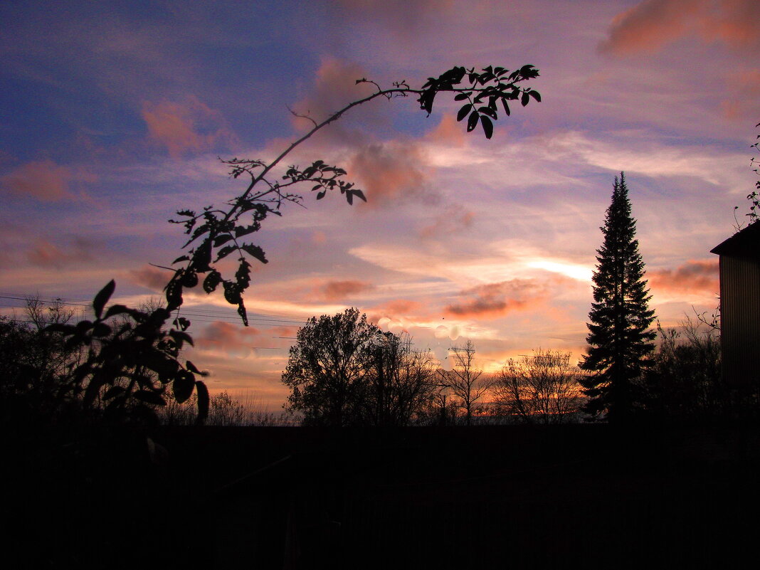 Октябрьский вечер - Людмила Смородинская