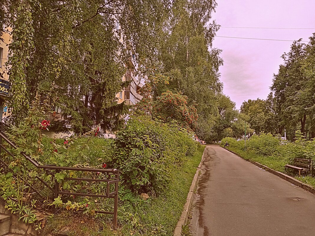 Конец лета. - Владимир Драгунский