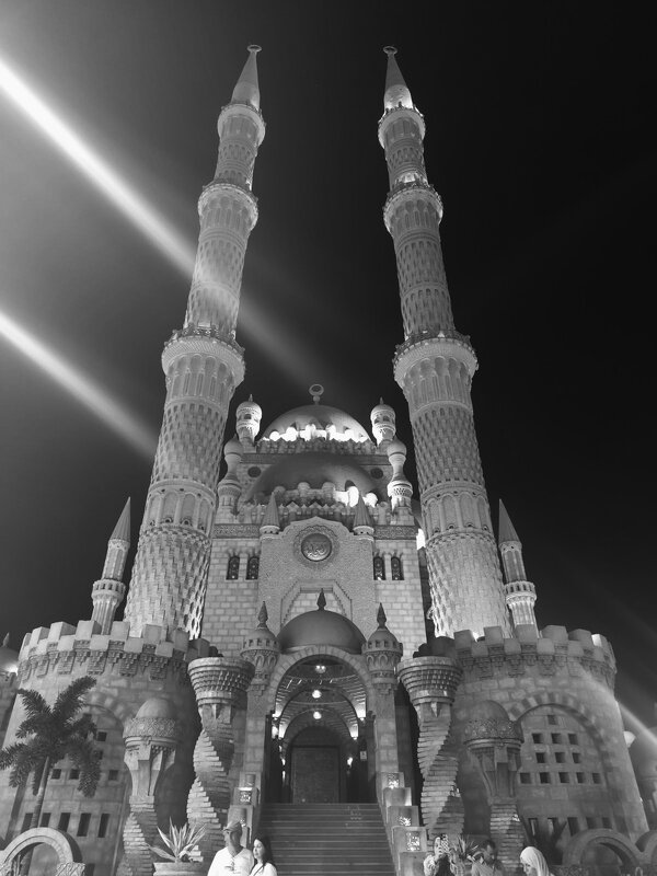 ЧБ Египет - Роман Савоцкий